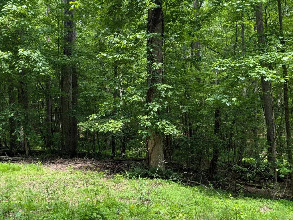 Lot 58 Acadia Drive, Ellijay, GA 30540 - #1