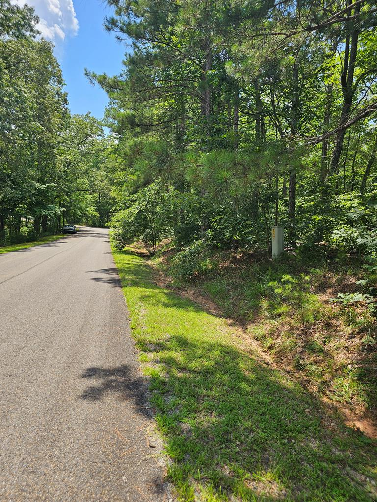 0 Harris Ridge Drive, Ellijay, GA 30540 - #1