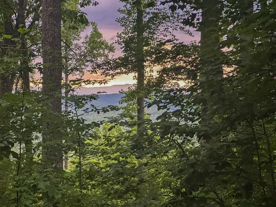 Lt 23 Scouts Ridge Road, Blairsville, GA 35012 - Image #2