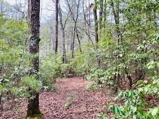 5.922 Ac Fisher Field Road, Blairsville, GA 30512 - #1