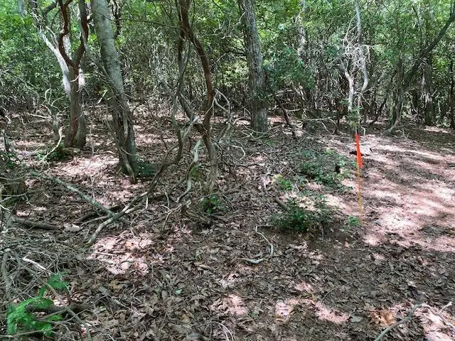 5.922 Ac Fisher Field Road, Blairsville, GA 30512 - #2