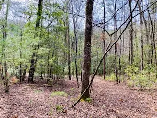 6.88 ac Fisher Field Road, Blairsville, GA 30512 - Image #3