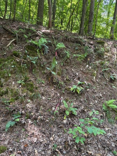 0 Mountain View Court #J352, Ellijay, GA 30536