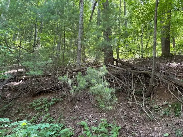 0 Mountain View Court, Ellijay, GA 30536 - Image #3