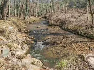 721 Dial Road, Blue Ridge, GA 30513 - Image #2