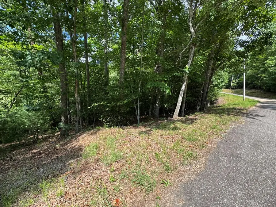 Lot 3 Honeysuckle Drive, Blairsville, GA 30512 - Image #2