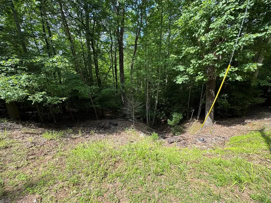 Lot 3 Honeysuckle Drive, Blairsville, GA 30512 - Image #3