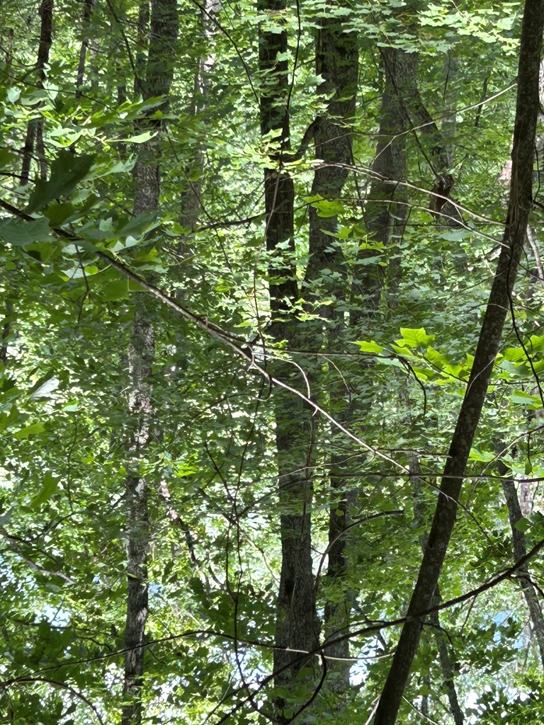 0 Ten Pointe Trail, Murphy, NC 28906 - Image #2