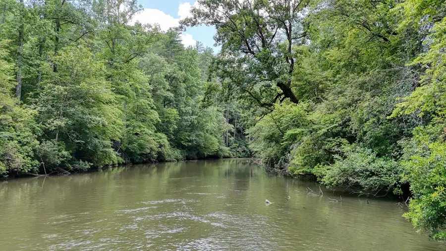 243 Chattahoochee Acres, Cleveland, GA 30528 - #3