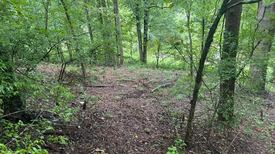 #3 Eagle Cove, Hiawassee, GA 30546 - Image #3