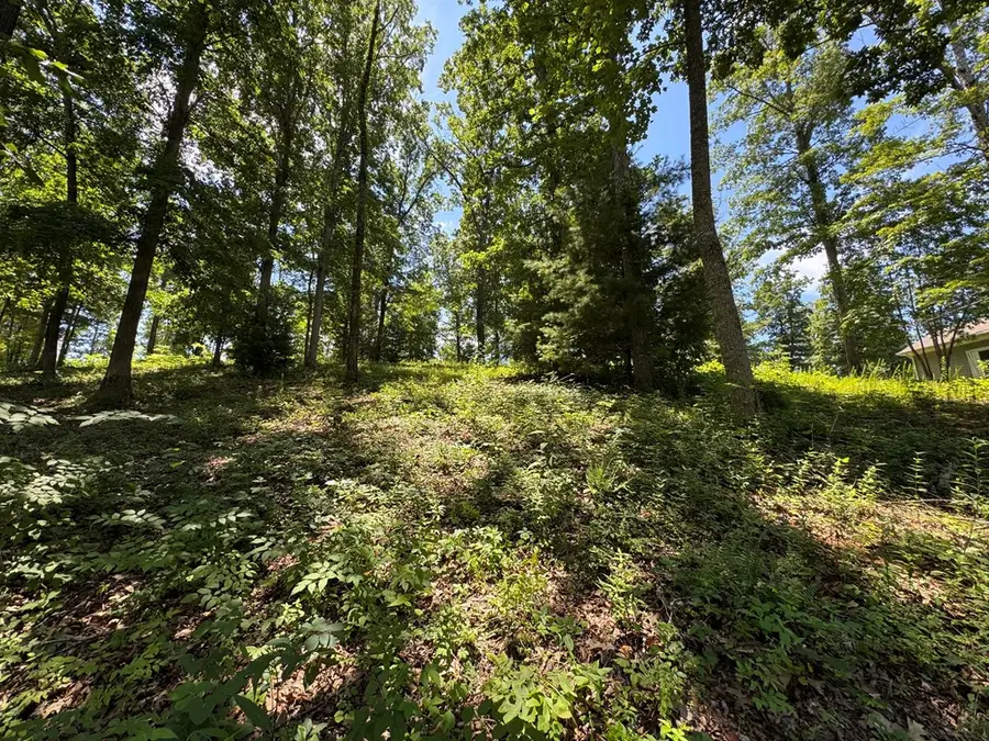Lot 5&5A Mcclure Drive #5&5A, Hayesville, NC 28904 - Image #3