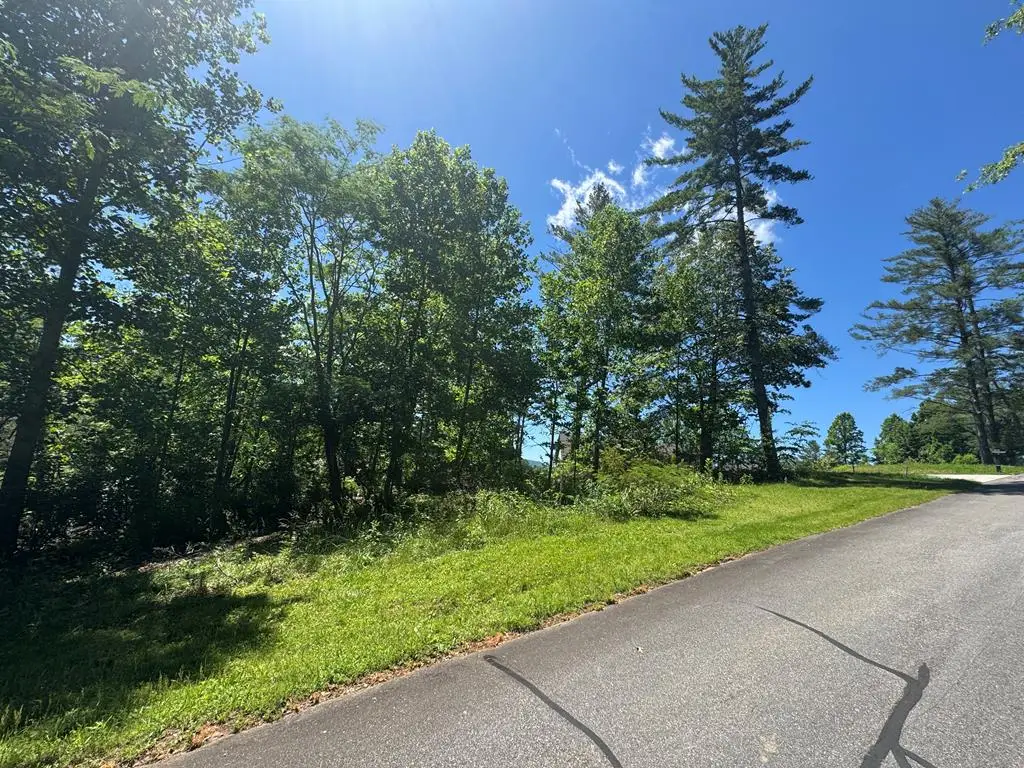 Lot 3A/B Tranquil Pointe Lane, Hiawassee, GA 30546 - Image #1