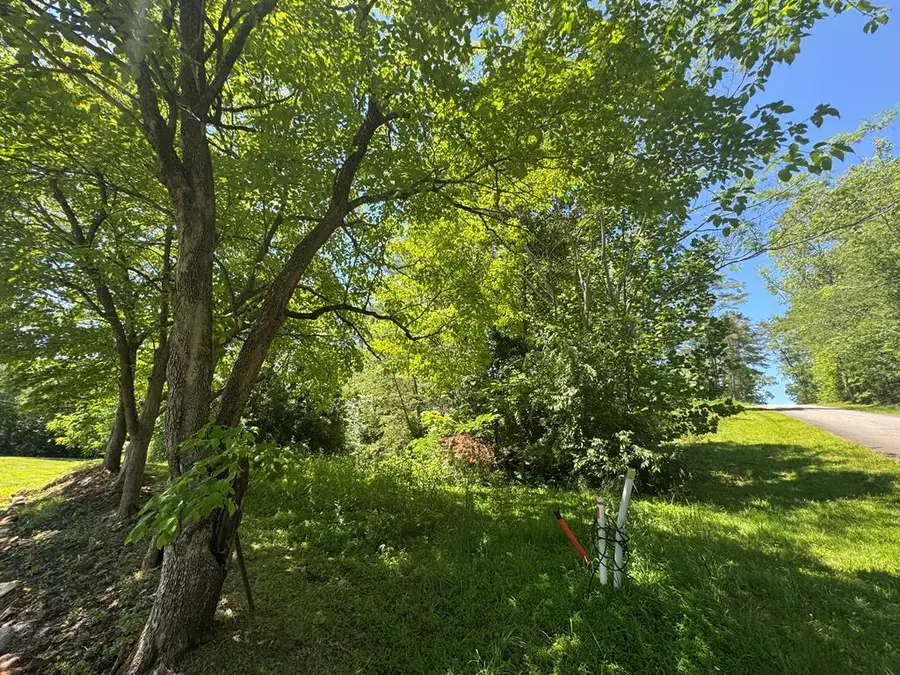 Lot 3A/B Tranquil Pointe Lane, Hiawassee, GA 30546 - Image #2