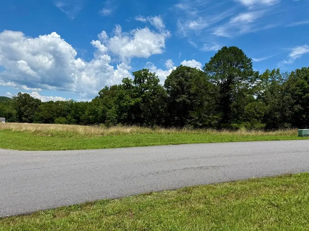 0 Dewey Lane, Murphy, NC 28906 - Image #1