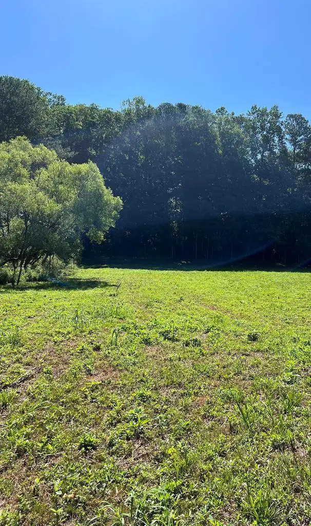 56 acres Old Hwy 5s, Talking Rock, GA 30175 - Image #1