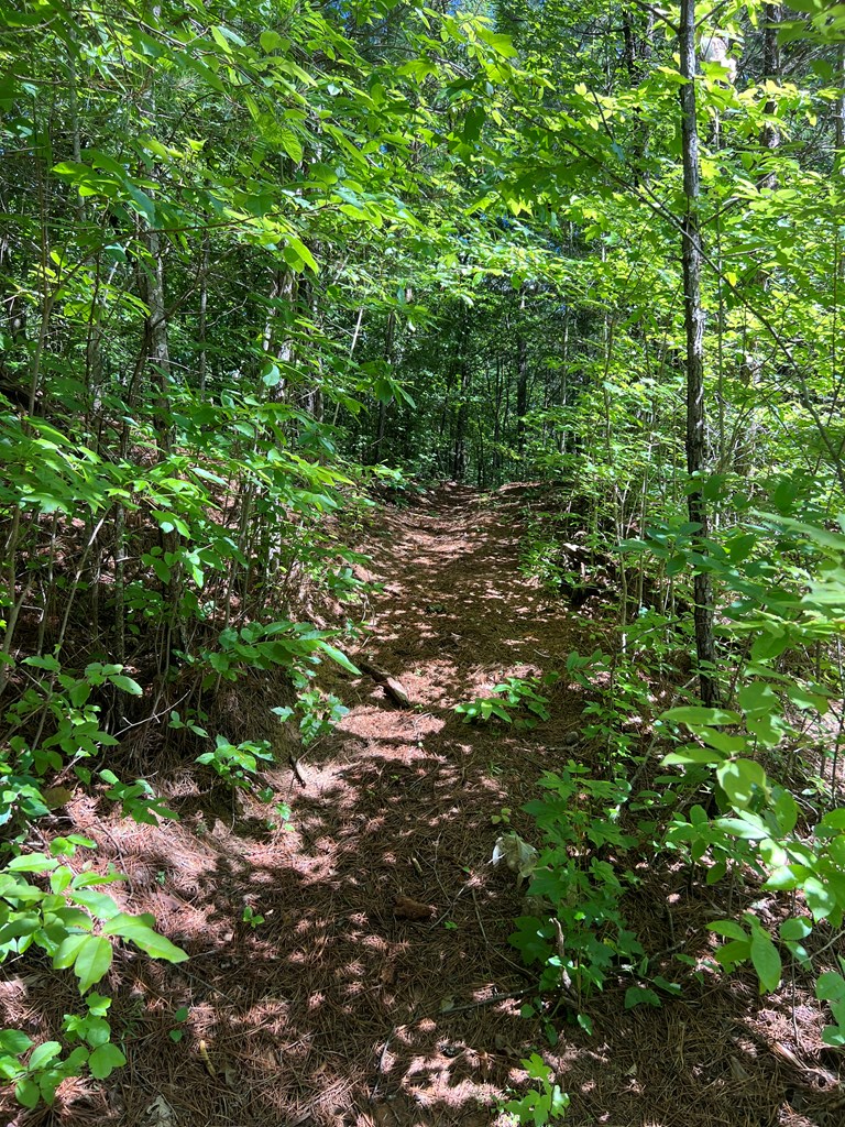 56 acres Old Hwy 5s, Talking Rock, GA 30175 - Image #2