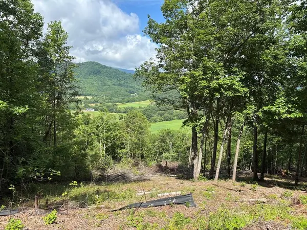 17 Buckhead Hills, Hiawassee, GA 30546