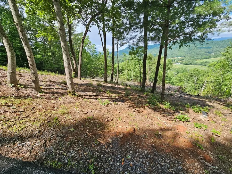 17 Buckhead Hills, Hiawassee, GA 30546 - Image #3