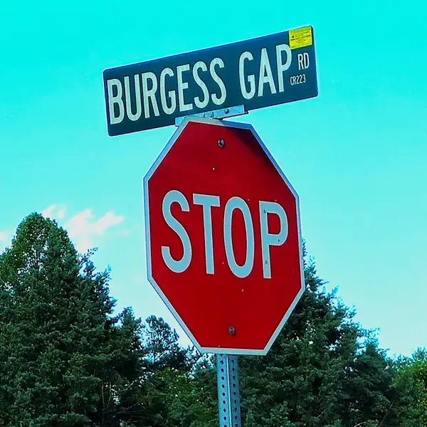 5.23acs Burgess Gap Road, Morganton, GA 30560