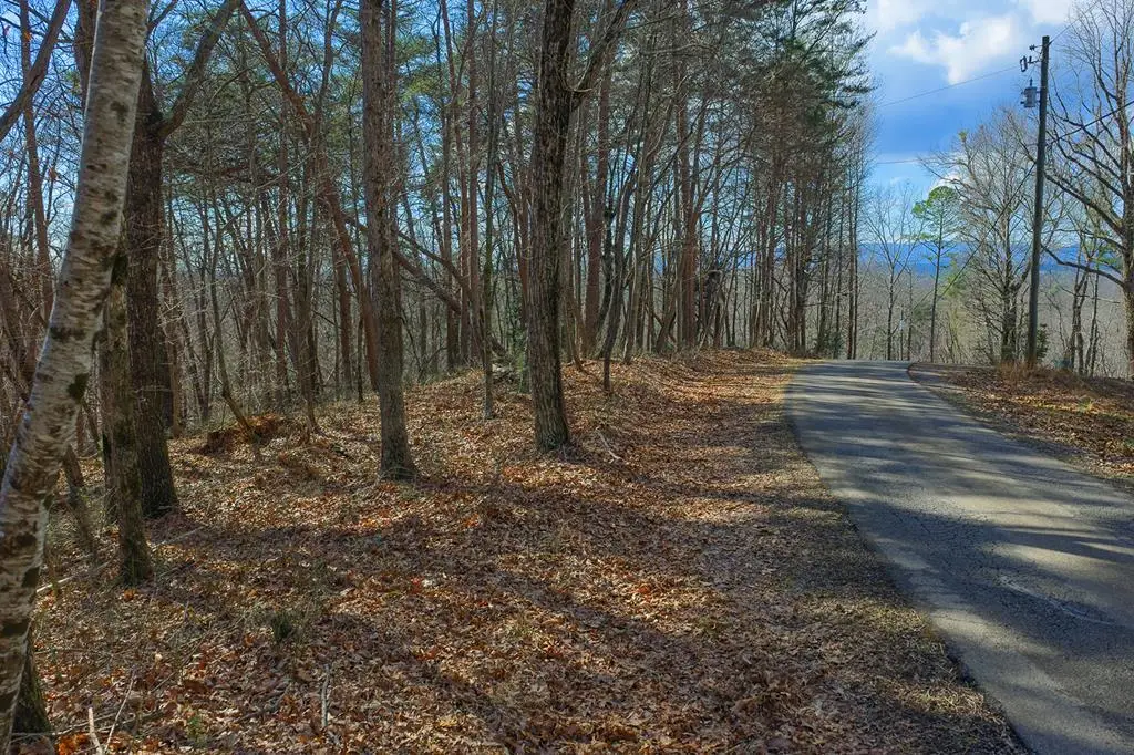 Lot 59 Timberwalk Drive, Ellijay, GA 30540 - #1