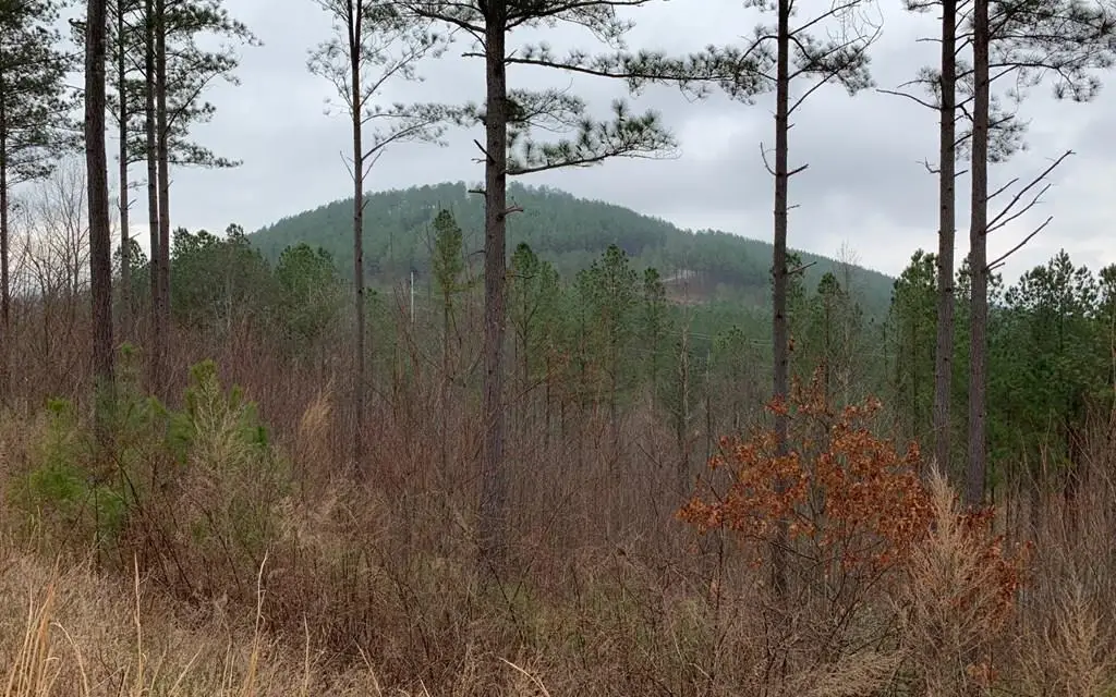 Lot 59 Ridge Peak View, Blairsville, GA 30512 - Image #1