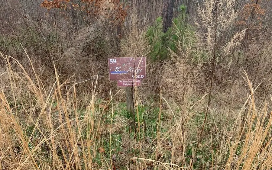 Lot 59 Ridge Peak View, Blairsville, GA 30512 - Image #2