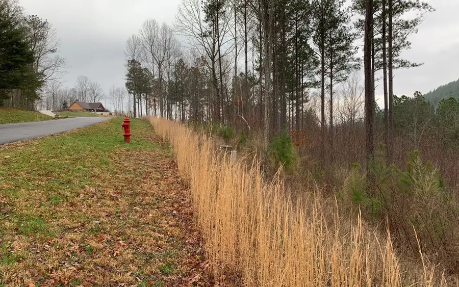 Lot 59 Ridge Peak View, Blairsville, GA 30512 - Image #3