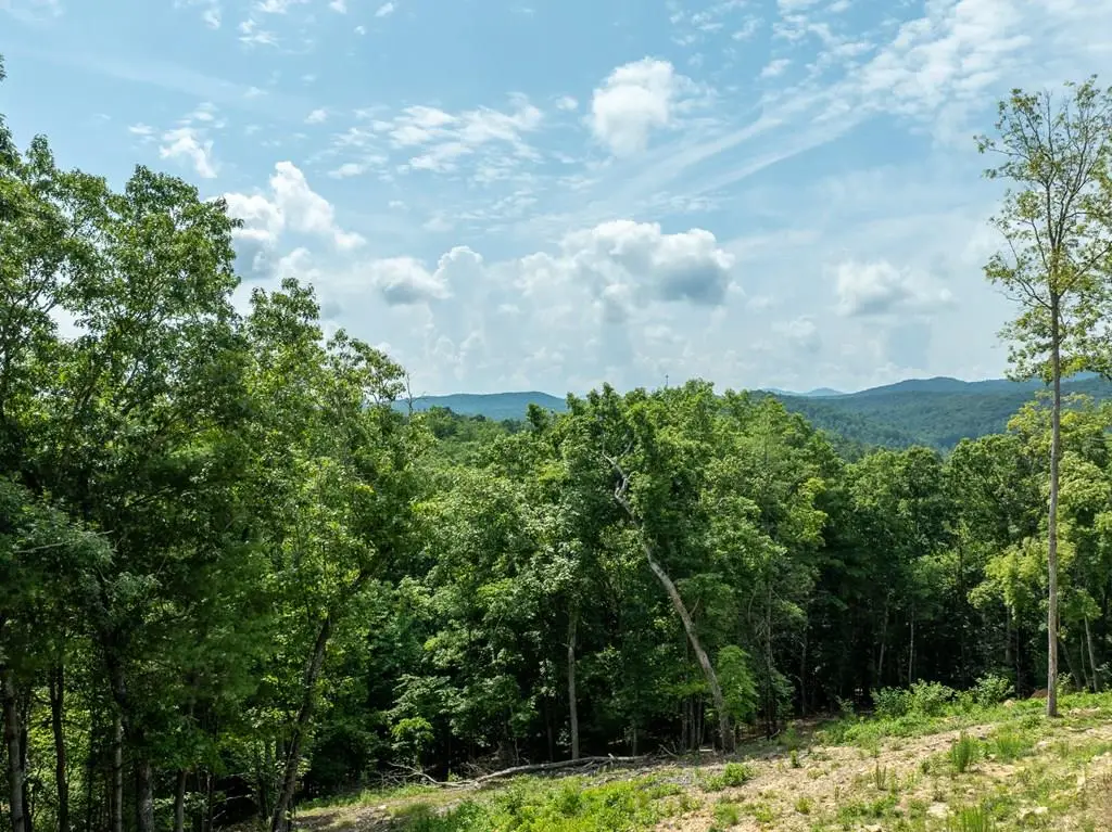 Lt175 Southern Cross Court, Blue Ridge, GA 30513 - Image #1
