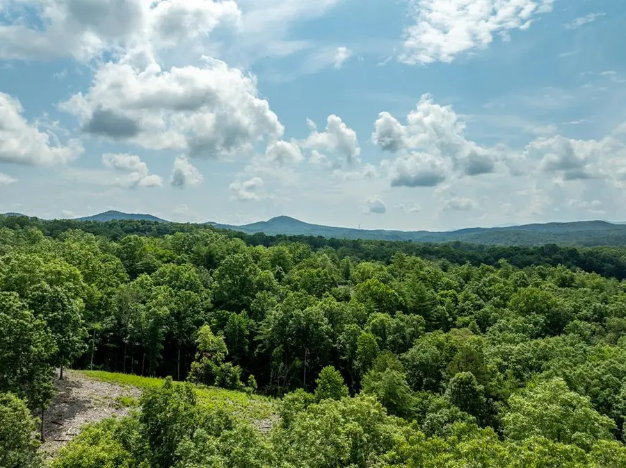 Lt175 Southern Cross Court, Blue Ridge, GA 30513 - Image #2