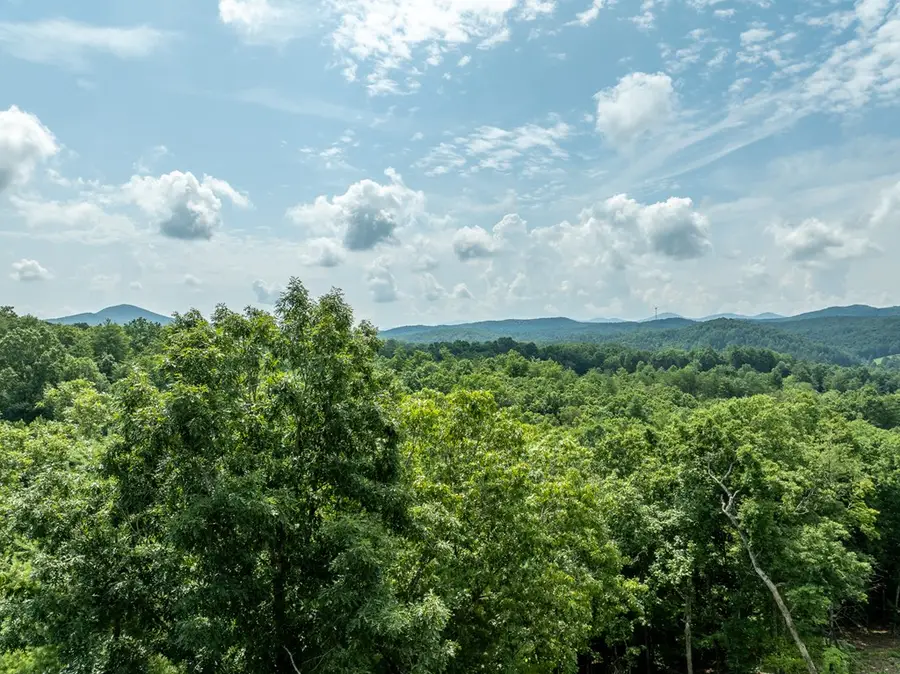 Lt175 Southern Cross Court, Blue Ridge, GA 30513 - Image #3