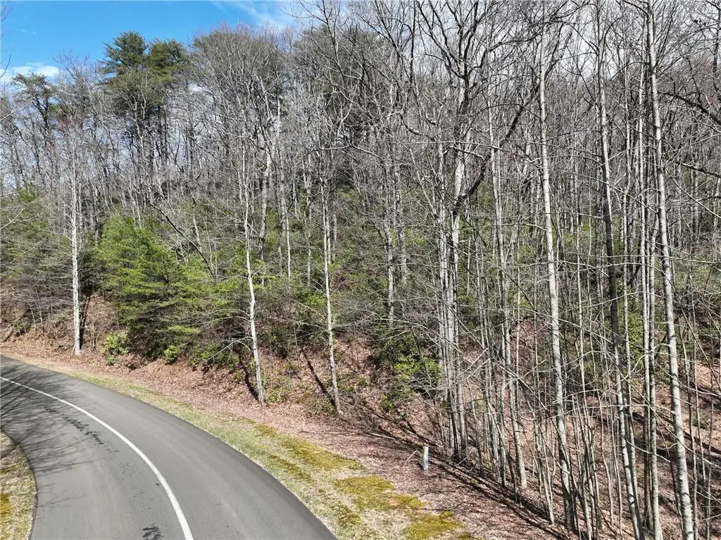 63 St Andrews Way, Ellijay, GA 30536 - #1