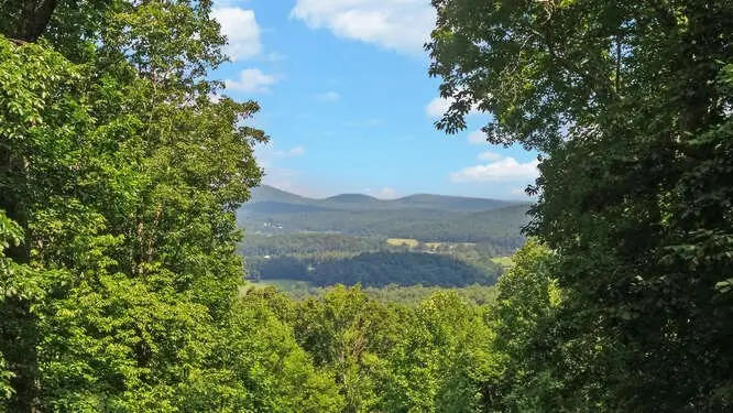 862 Stennes Gap Road, Blairsville, GA 30512 - #3