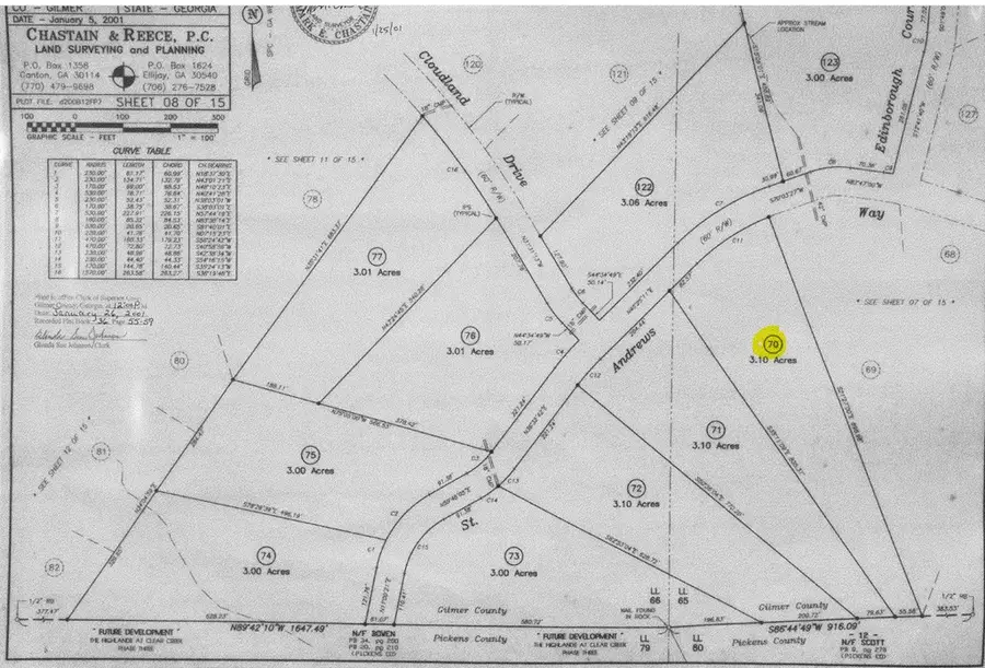 70 St Andrews Way, Ellijay, GA 30536 - #2