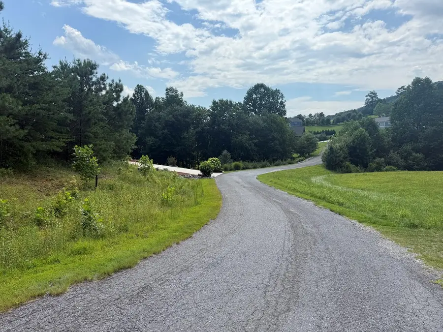 Lot 52 The Preserve At Cc, Young Harris, GA 30582 - Image #3