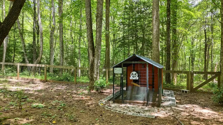 550 Watson Road, Epworth, GA 30541 - Image #3