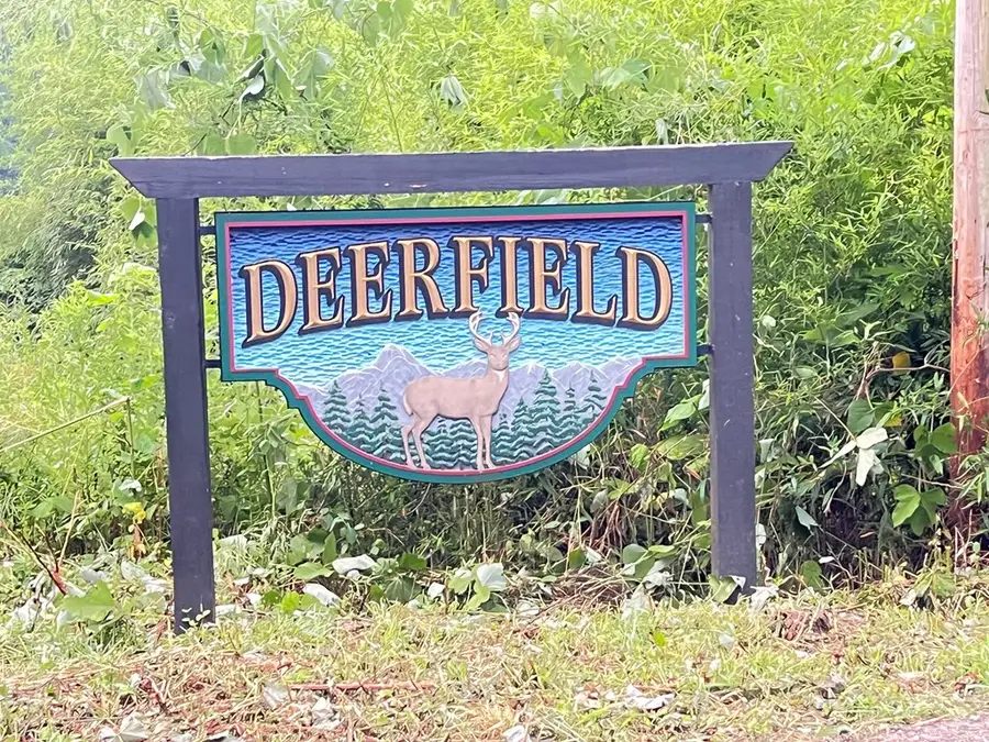 57 Deerfield Lane, Blue Ridge, GA 30513 - #2