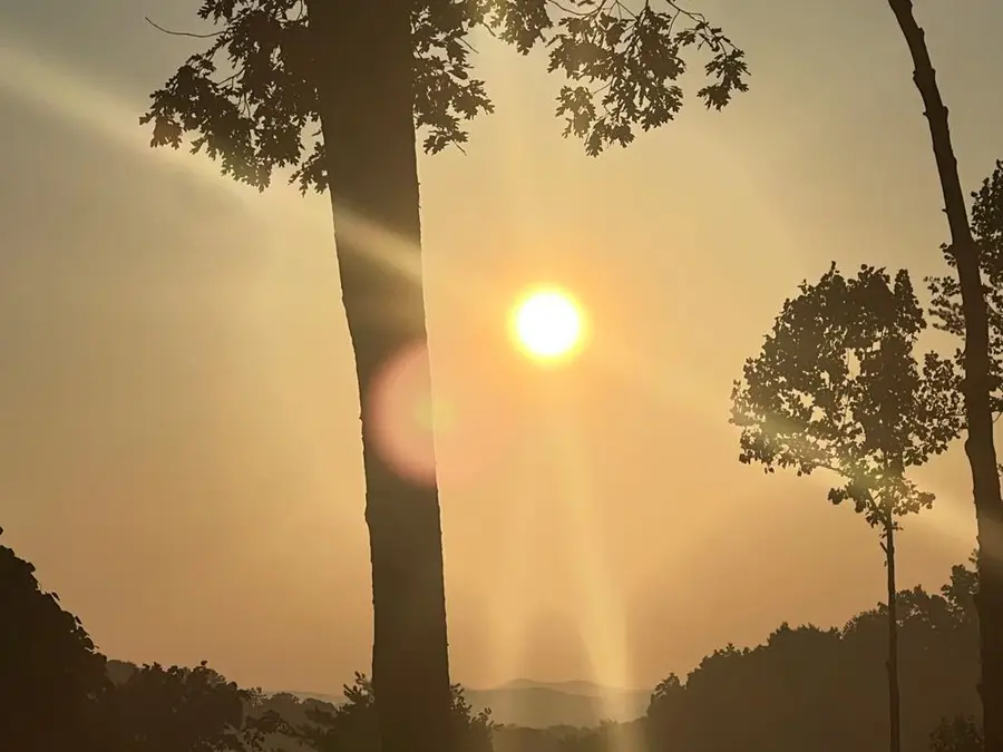 57 Deerfield Lane, Blue Ridge, GA 30513 - #3