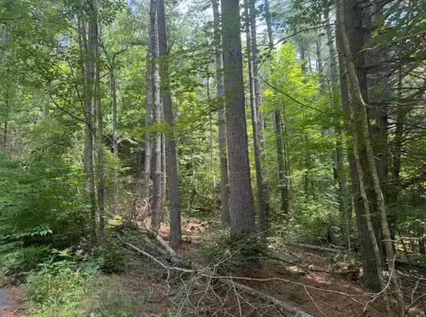 Lot 6 Baker Lane, Hiawassee, GA 30546