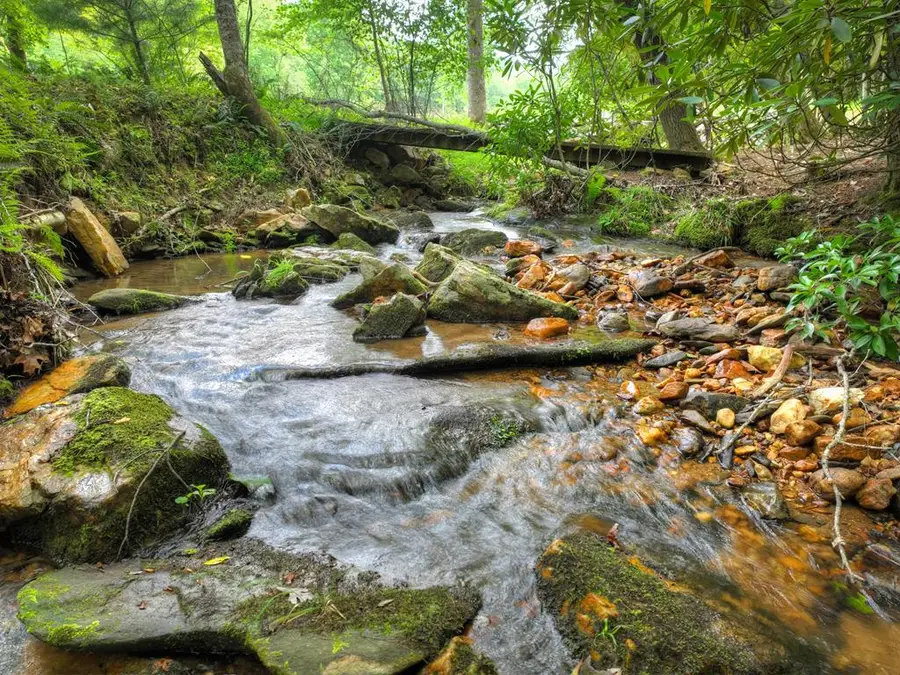 1696 Rocky Top Road, Blairsville, GA 30512 - Image #3