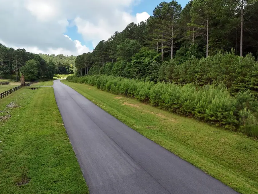 Lot 42 Thirteen Hundred, Blairsville, GA 30512 - Image #2