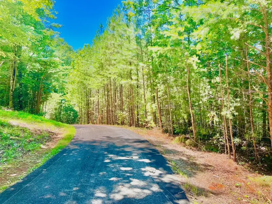 64 Meadow Brooke Drive, Young Harris, GA 30582 - Image #2