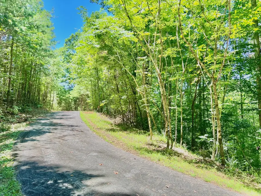 64 Meadow Brooke Drive, Young Harris, GA 30582 - Image #3