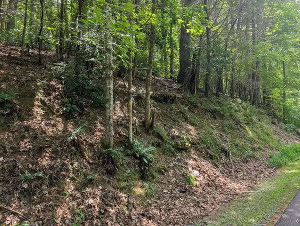 Lot P1 Goldmine Drive, Ellijay, GA 30536