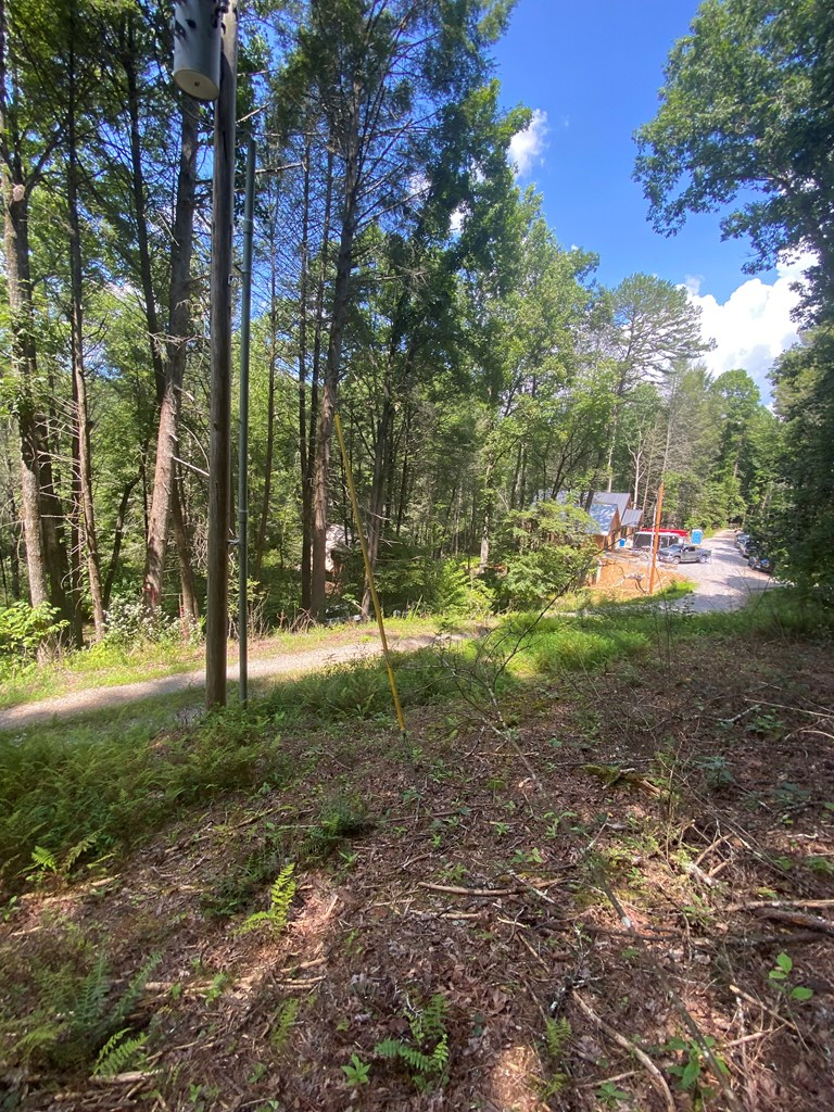 Address Withheld By Seller, Blue Ridge, GA 30513 - #3