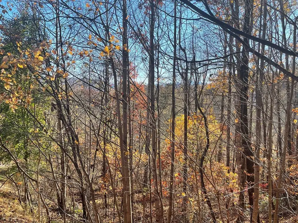 Lot 41C Ash Branch Circle, Hayesville, NC 28904 - Image #1