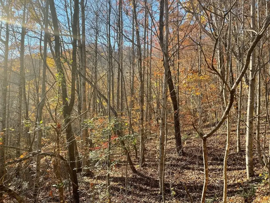 Lot 41C Ash Branch Circle, Hayesville, NC 28904 - Image #2