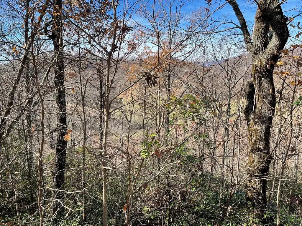 Lot 31J Ashe Branch Drive, Hayesville, NC 28904 - Image #1