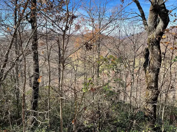 Lot 31J Ashe Branch Drive, Hayesville, NC 28904