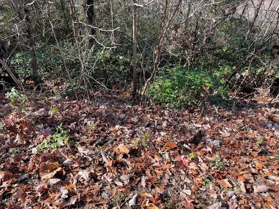 Lot 31J Ashe Branch Drive, Hayesville, NC 28904 - Image #2