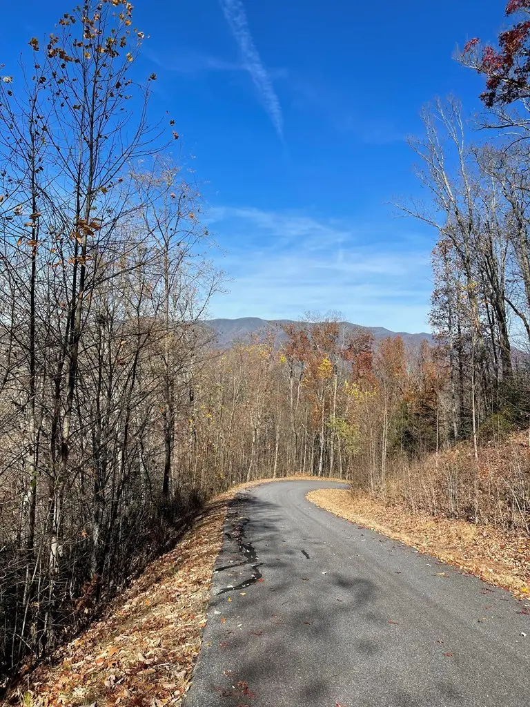 Lot 31J Ashe Branch Drive, Hayesville, NC 28904 - Image #3